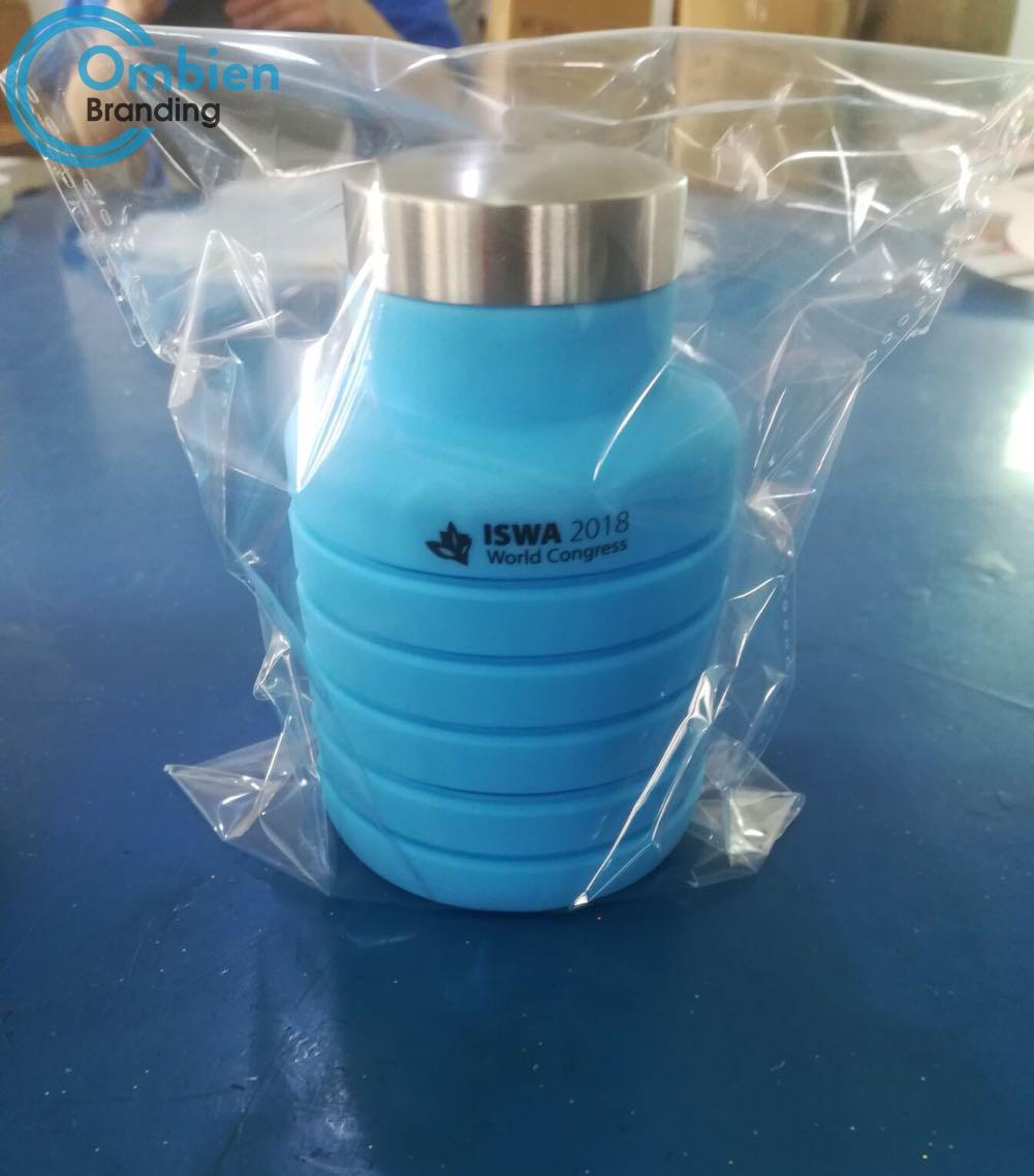 H69542 Collapsible Water Bottle 
